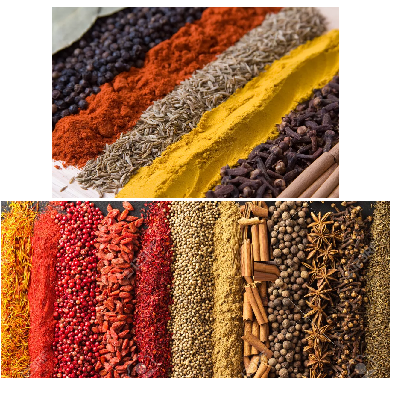 Spice Manufacturers