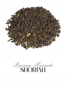 Peganum Harmala (حرمل)