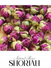 Natural Roses (wholesale)