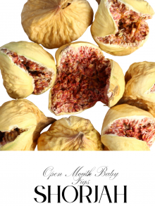Open Mouth Baby Figs (Wholesale)
