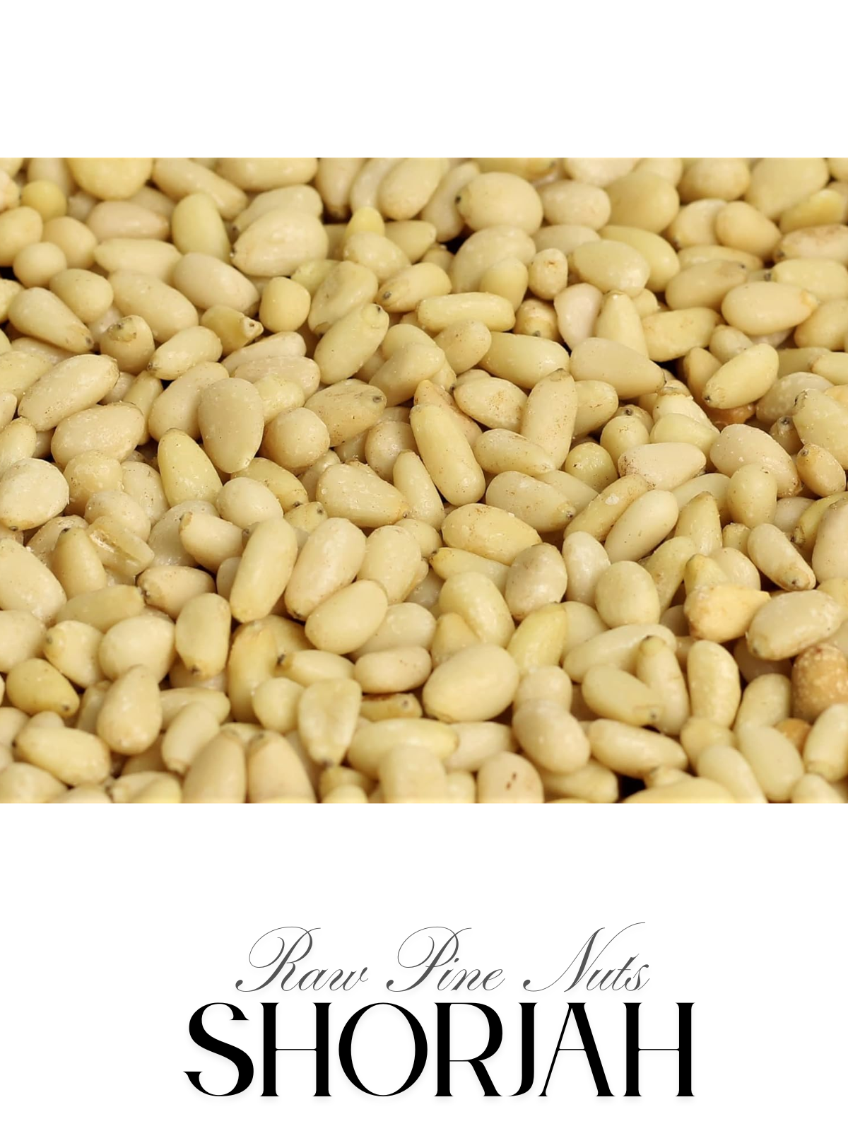Raw Pine Nuts