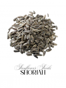 Roasted & Salted Sunflower Seeds (wholesale)
