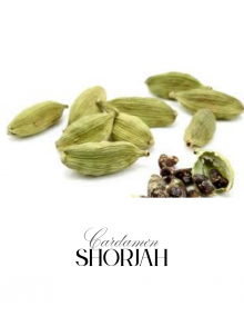 Premium Green Cardamom – Whole Pods (wholesale)