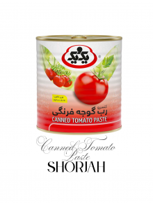 Canned Tomato Paste (wholesale)